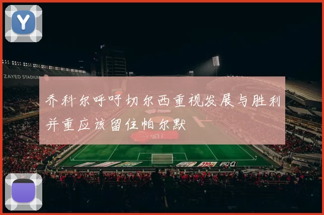乔科尔呼吁切尔西重视发展与胜利并重应该留住帕尔默