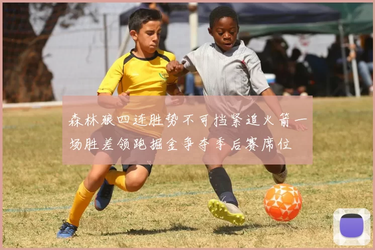 森林狼四连胜势不可挡紧追火箭一场胜差领跑掘金争夺季后赛席位